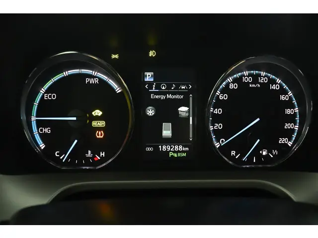 Toyota RAV4 2.5 Hybrid Style 2016 Hybride Benzine 49