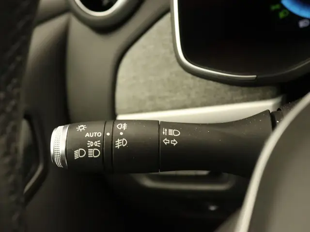 Renault ZOE R110 Life Carshare 52 kWh 2020 Elektrisch 24
