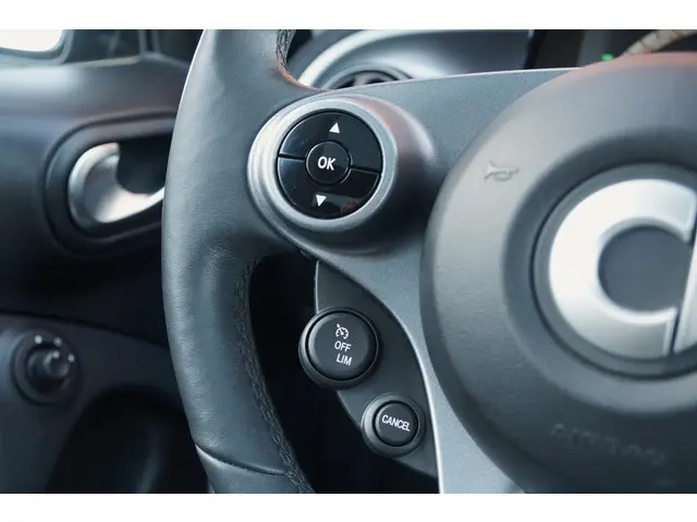 Smart Forfour EQ BRABUS Style 18 kWh 2019 Elektrisch 44