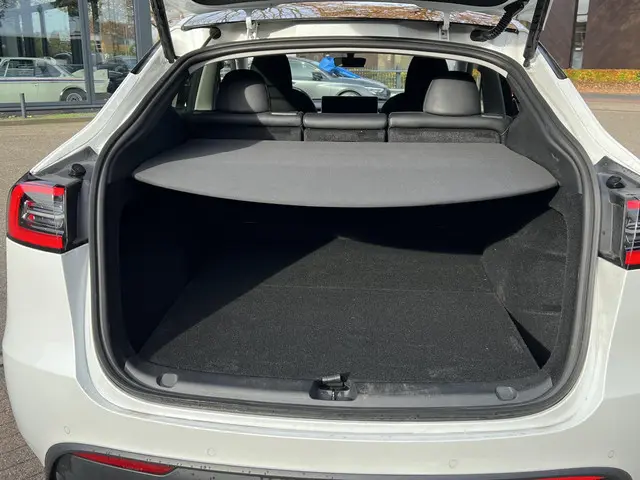Tesla Model Y Long Range AWD 75 kWh 2022 Elektrisch 9