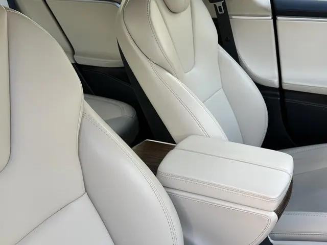 Tesla Model S 100D 2018 Elektrisch 25