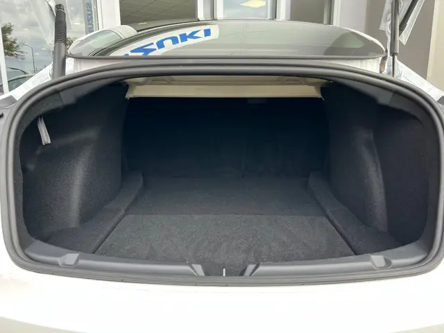 Tesla Model 3 Standard RWD Plus 2021 Elektrisch 22