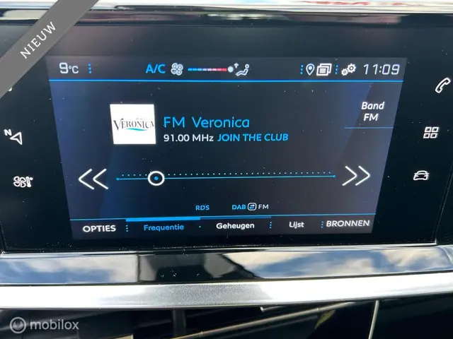 Peugeot 2008 1.2 PureTech Active 2022 Benzine 14