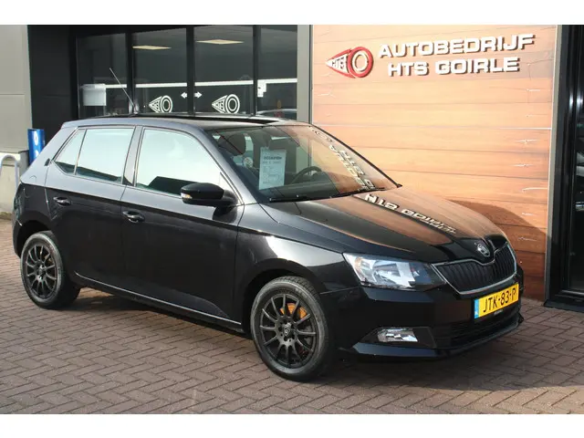 Škoda Fabia 1.0 TSI Monte Carlo 2018 Benzine 8