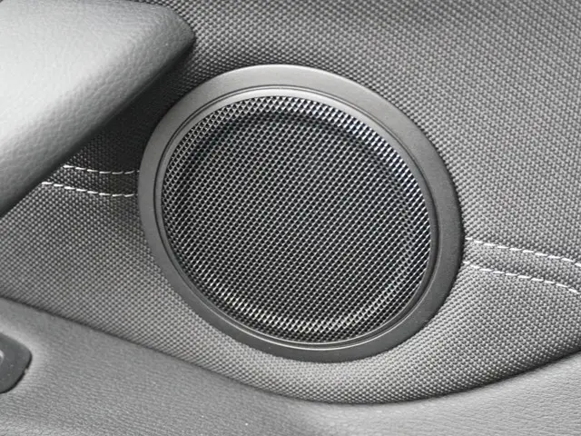 BMW X1 xDrive25e 2022 Hybride Benzine 18