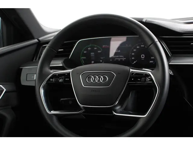 Audi e-tron e-tron 55 quattro 2019 Elektrisch 13