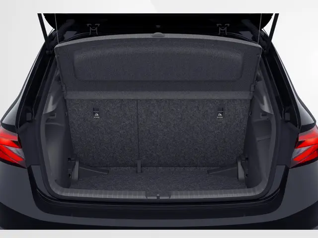 Škoda Fabia Monte Carlo 1.0 TSI 115 PK DSG 2026 Benzine 6