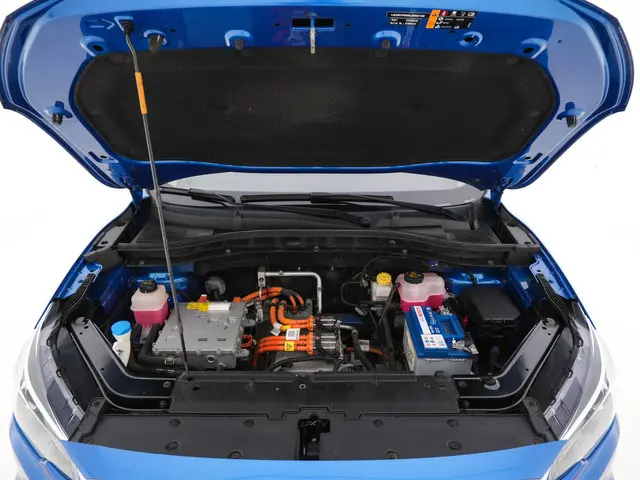 MG ZS EV Luxury 45 kWh {SOH-89%} 2019 Elektrisch 25