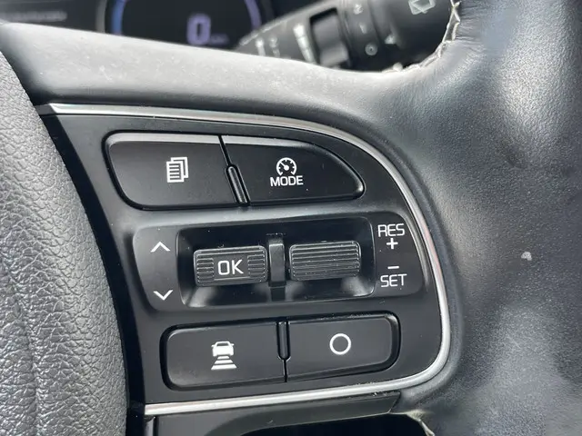 Kia e-Niro ExecutiveLine 64 kWh 2019 Elektrisch 29