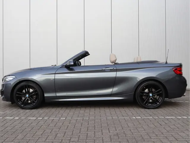 BMW 2 Serie Cabrio 220i High Executive 2021 Benzine 17