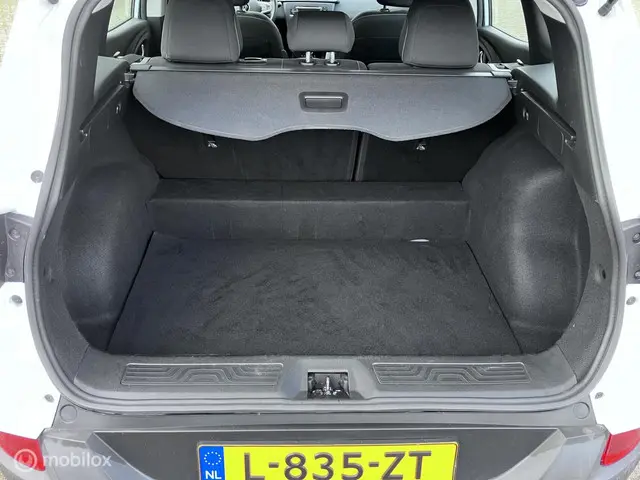 Renault Kadjar 1.2 TCe Limited 2018 Benzine 10