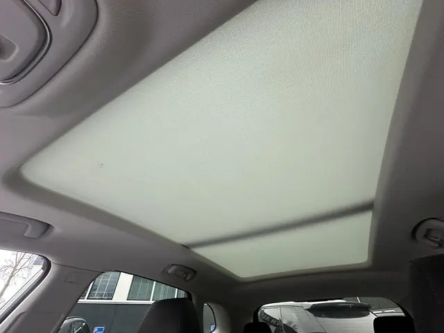 MG EHS 1.5 TGDI Luxury 2023 Hybride Benzine 32