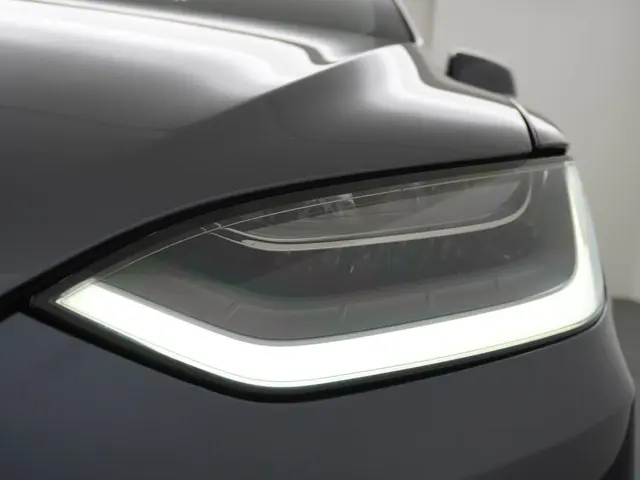 Tesla Model X Long Range 100Kwh 2020 Elektrisch 15