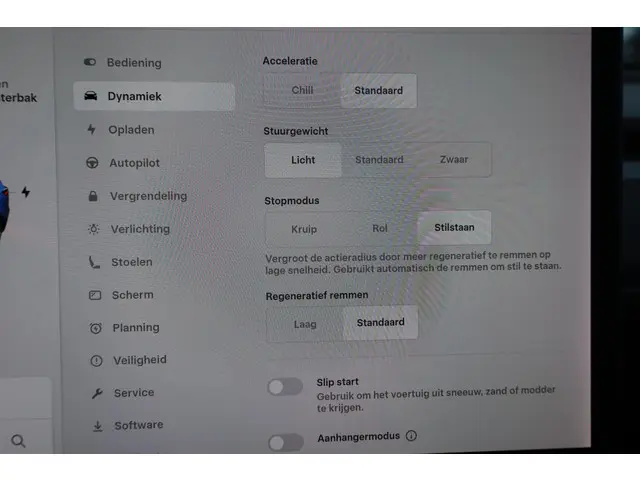 Tesla Model 3 Long Range AWD 75 kWh 2019 Elektrisch 33