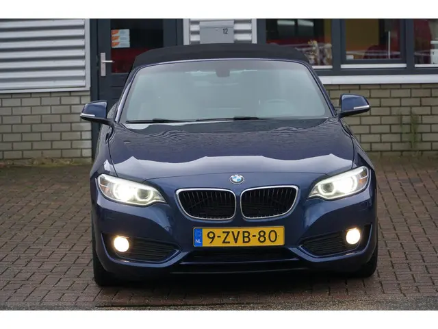 BMW 2 Serie Cabrio 220i EERSTE EIGENAAR 2015 Benzine 13