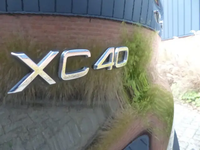 Volvo XC40 T4 Inscription 2019 Benzine 24