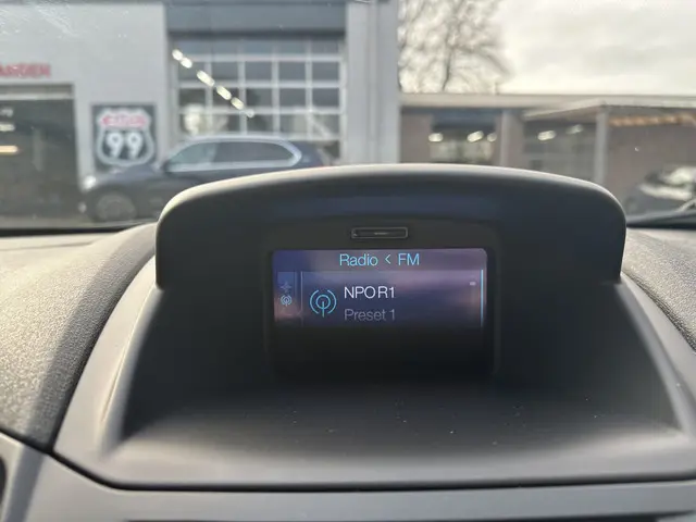 Ford Fiesta 1.0 EcoBoost Black Edition 2017 Benzine 24