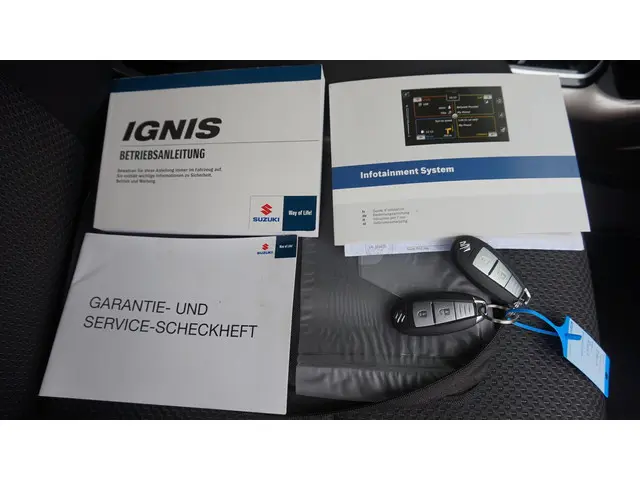 Suzuki Ignis 1.2 Stijl Automaat 2020 Benzine 31