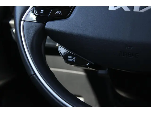 Kia Niro EV DynamicLine 64.8 kWh 2023 Elektrisch 8