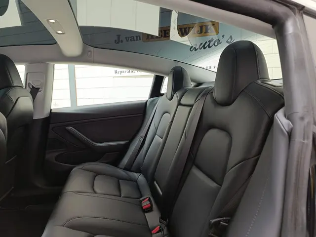 Tesla Model 3 Performance AWD 75 kWh 2020 Elektrisch 25