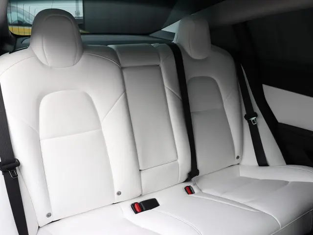 Tesla Model 3 Performance AWD 75 kWh 2019 Elektrisch 20