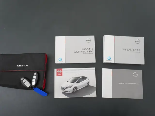 Nissan Leaf Tekna 40 kWh 2019 Elektrisch 44