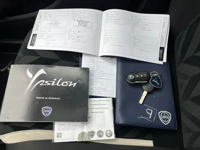 Lancia Ypsilon 0.9 TwinAir Gold 2016 Benzine 25