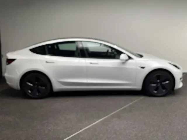 Tesla Model 3 Standard RWD Plus 60 kWh 2021 Elektrisch 13