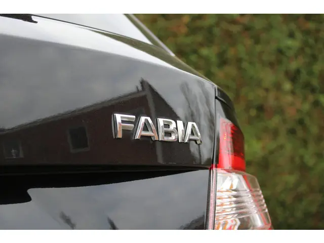 Škoda Fabia 1.2 TSI JOY zeer nette staat 2016 Benzine 12