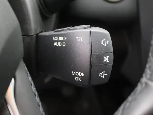 Renault Kadjar 1.3 TCe Limited Aut. 142pk 2022 Benzine 26