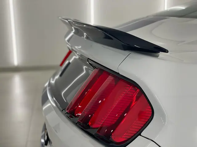 Ford Mustang Shelby GT350 EINDEJAARSACTIE 2017 Benzine 21