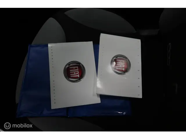 Fiat 500L 0.9 TwinAir Easy Eco 2013 Benzine 32