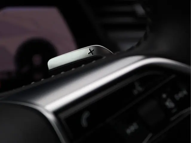 Audi e-tron Sportback 55 quattro 95KWh 2021 Elektrisch 49