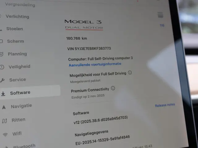 Tesla Model 3 Performance AWD 75 kWh 2019 Elektrisch 24