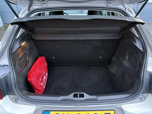 Citroën C4 Cactus 1.2 PureTech Shine 2015 Benzine 25