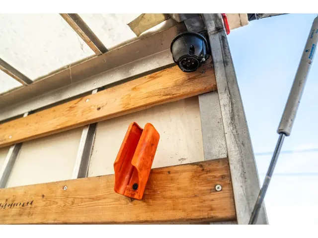 MAN TGE 3.180 - D'HOLLANDIA 750 kg 2019 Diesel 13