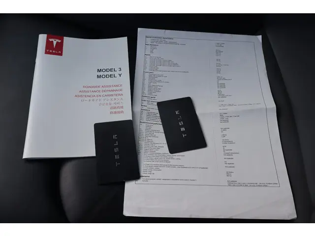 Tesla Model 3 3