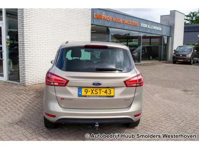 Ford B-MAX 1.0 EcoBoost Titanium 2014 Benzine 8