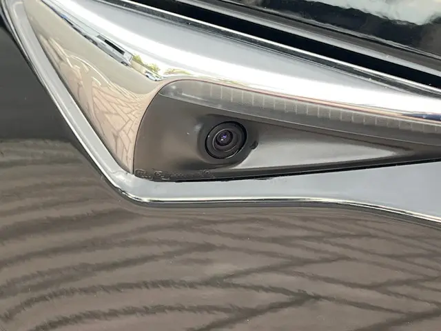 Tesla Model 3 Long Range AWD 75 kWh 2020 Elektrisch 11