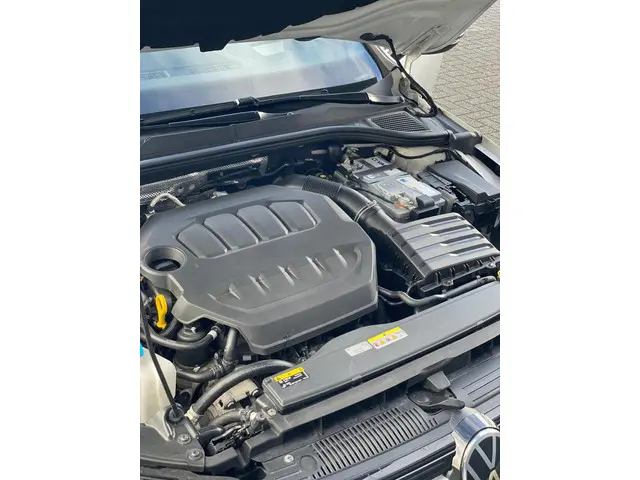 Volkswagen Golf 2.0 TSI R 4Motion editie 20 2021 Benzine 16