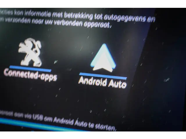 Peugeot 208 1.2 PureTech Active Pack 2022 Benzine 19