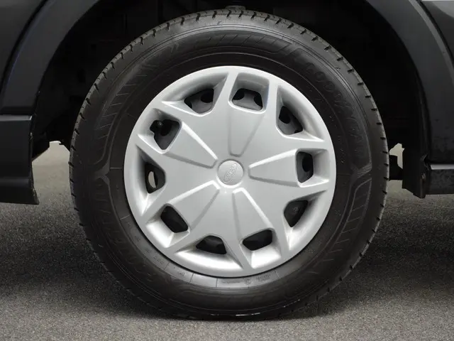 Ford Transit 310 2.0 TDCI L2H2 Trend 2023 Diesel 5