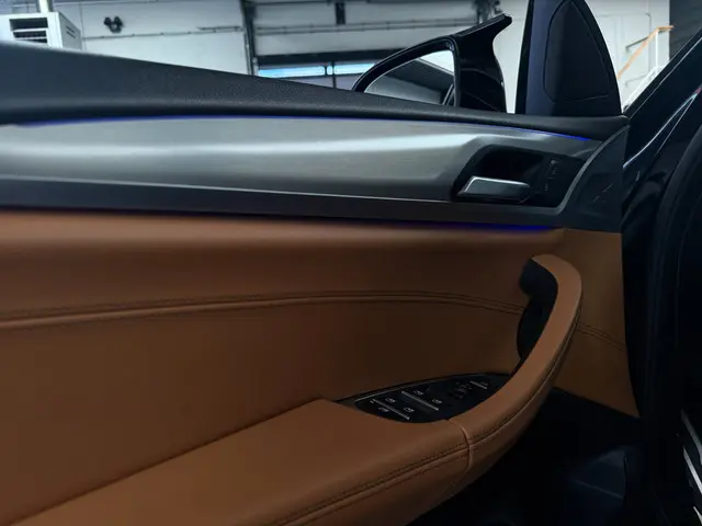 BMW X4 XDrive20i M Sport | Open dak | 2020 Benzine 24