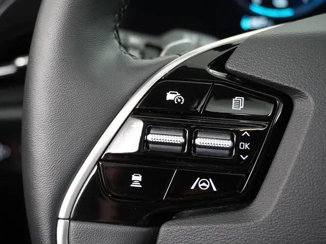 Kia Niro EV ExecutiveLine 64.8 kWh 2023 Elektrisch 30