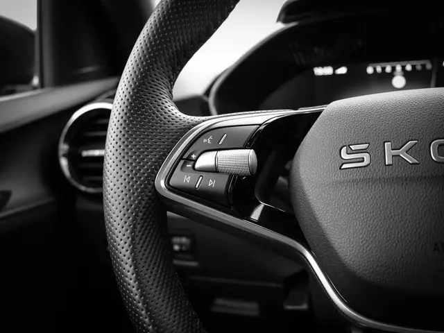 Škoda Fabia 1.0 TSI 115pk DSG Monte Carlo 2025 Benzine 15