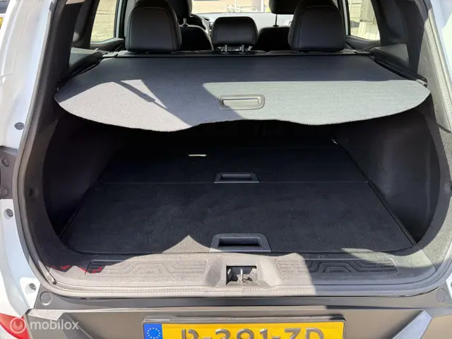 Renault Kadjar 1.3 TCe Intens 2018 Benzine 13