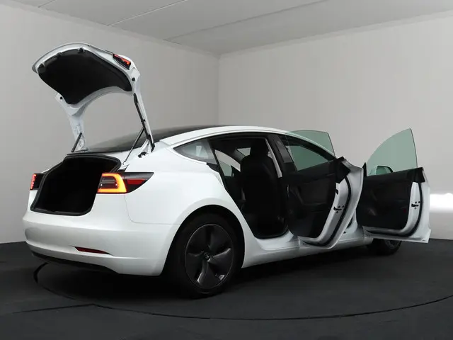 Tesla Model 3 Standard RWD Plus 60 kWh 2020 Elektrisch 31