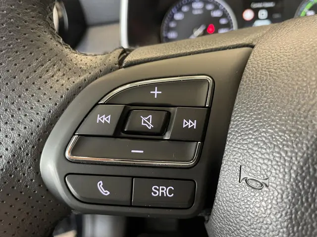 MG ZS EV Luxury 45 kWh 2021 Elektrisch 11