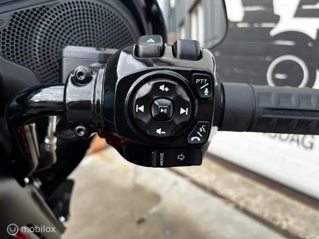 Harley-Davidson Street Glide 117 FLHX 2024 Benzine 23