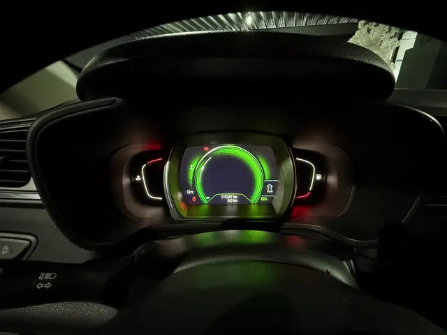 Renault Kadjar | 1.2 TCe Intens | 2017 Benzine 31